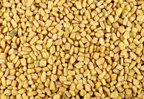 Semillas de FENUGREEKFENUGREEK ENTERO COCINAR HIERBAS ASIÁTICAS Y ESPECIAS 3.53 oz