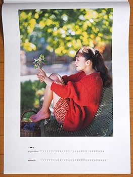 ★ツアーパンフレット/牧瀬里穂/PS.Riho/1993年/ボックス版 Amazon.co.jp: 1993年 牧瀬里穂 カレンダー : 文房具・オフィス用品