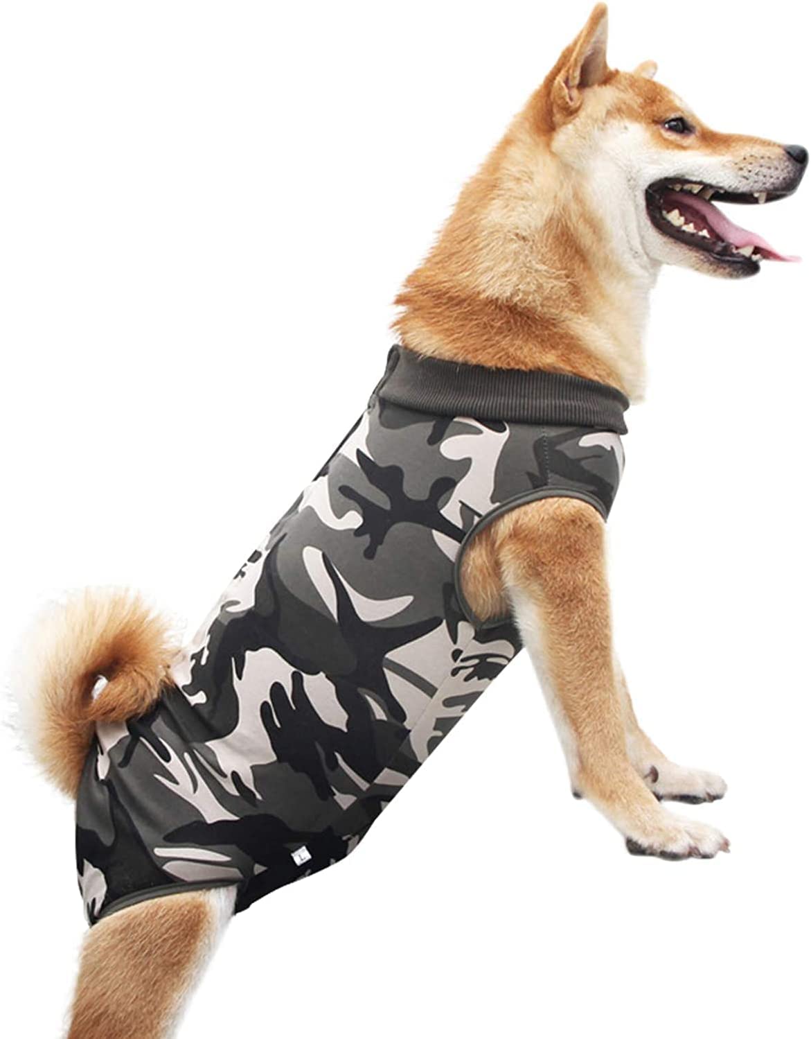 Dog Recovery Suit Bandages Cone E Collar Alternative Professional