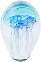 Amazon.co.jp: ブルーガラスクラゲ : 文房具・オフィス用品