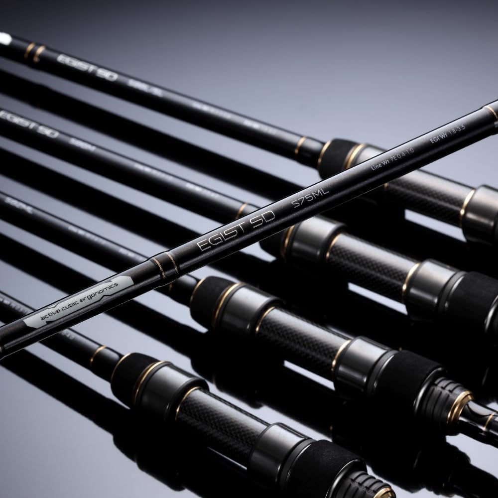 BaitWhip R63N 6.3フィート エギングロッド BaitWhip R63N 6.3フィート エギングロッド BaitWhip R63N 6.3フィート