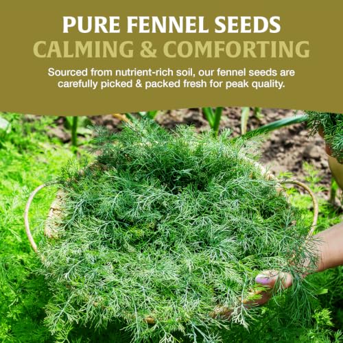 Image of HANDPICK Fennel Tea (40 Teabags) Authentic Indian Origin Natural Grown