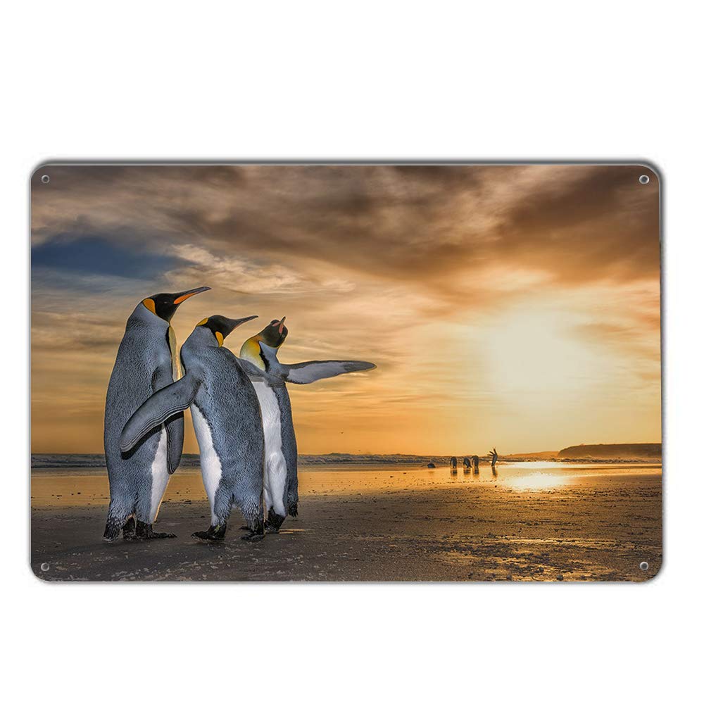 License Plate Signs Vehicle Sign Personalized 3D Penguin Cloud Decorative Front Plate Home Bathroom Pub Bar Wall Decor 12"x8"