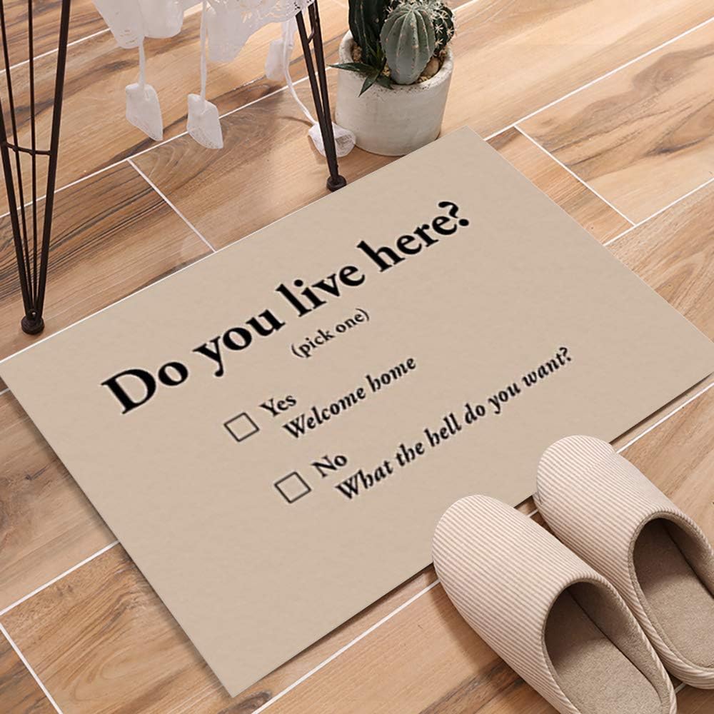 KAROLA Do You Live Here - Funny Doormat Entrance Mat Floor Rug Indoor/Outdoor/Front Door/Bathroom Mats Rubber Non Slip (23.6 L x 15.7 W)