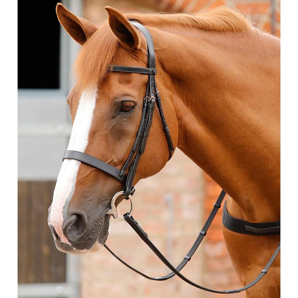 Premier Equine Trense Reiten für Hunter Primo
