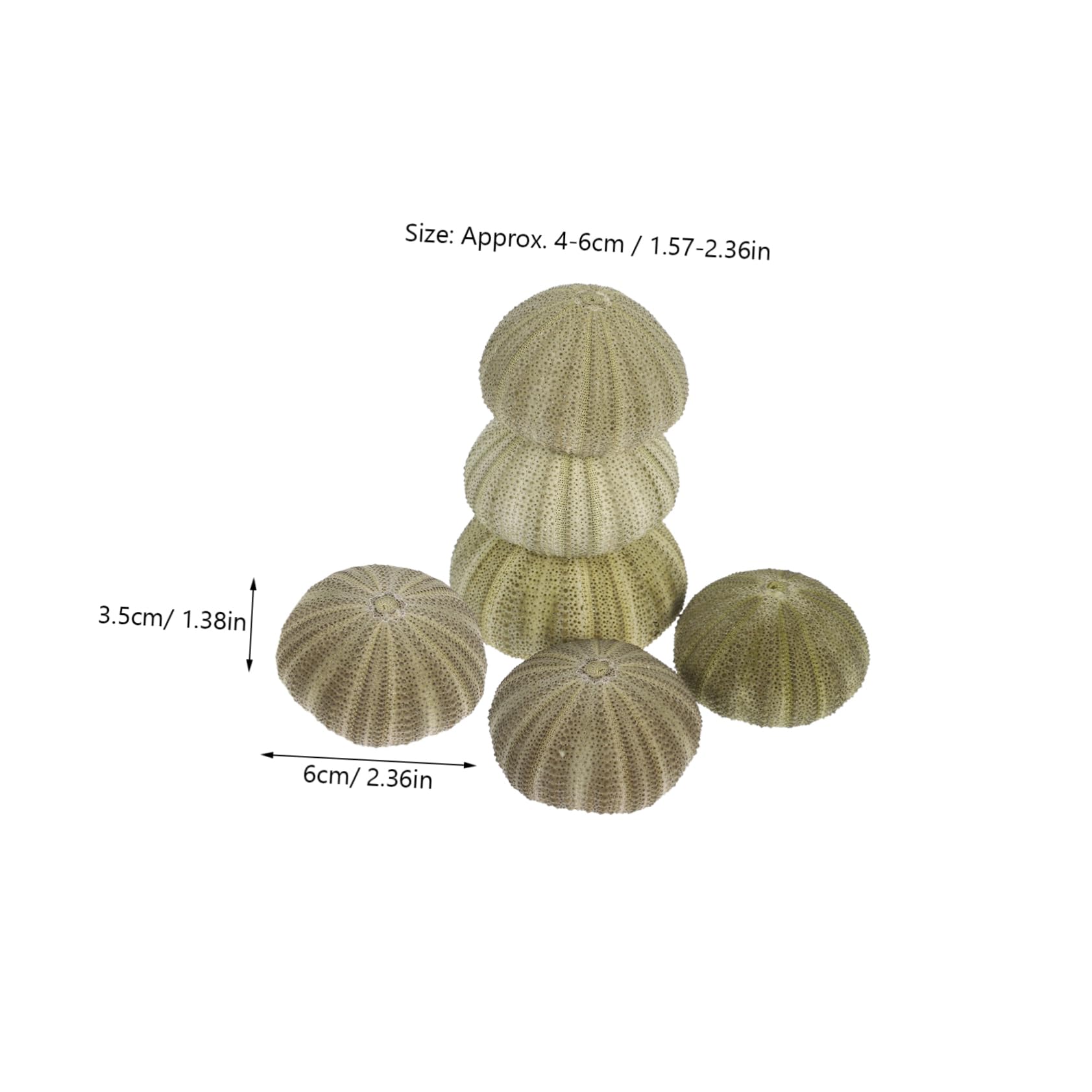 PRETYZOOM DIY Air Container 6 Sea Shells Hanging Decor for Home/Aquarium/Nautical Decor