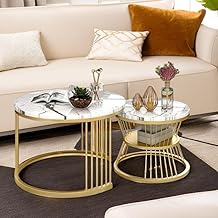 The Arts Box Iron Frame Handmade 21" x 21" Round Coffee Table/Nesting Table/Side Table/Center Table with Engineered Wood Top for Living Room/Drawing Room/Balcony (White Gold)