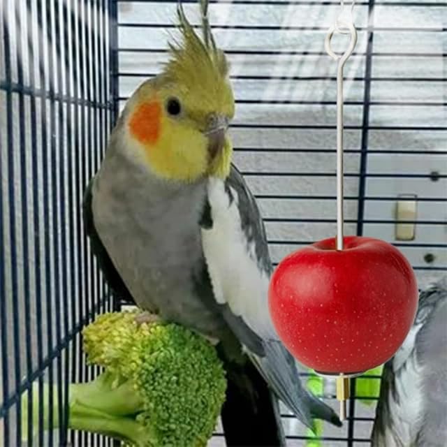 Foto 6 de 8 de Pincho para pájaros,2 Piezas Pájaros para Verduras,Pincho para Frutas Loro,Juguete para Pájaros de Acero…