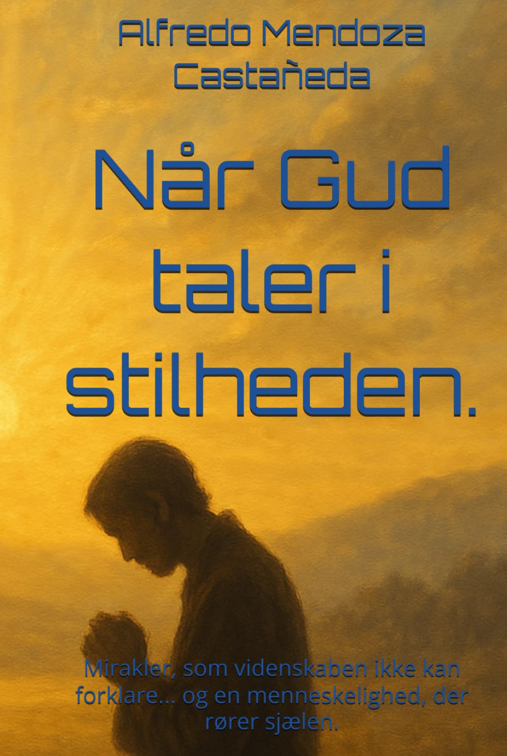 Når Gud taler i stilheden.: Mirakler, som videnskaben ikke kan forklare... og en menneskelighed, der rører sjælen.