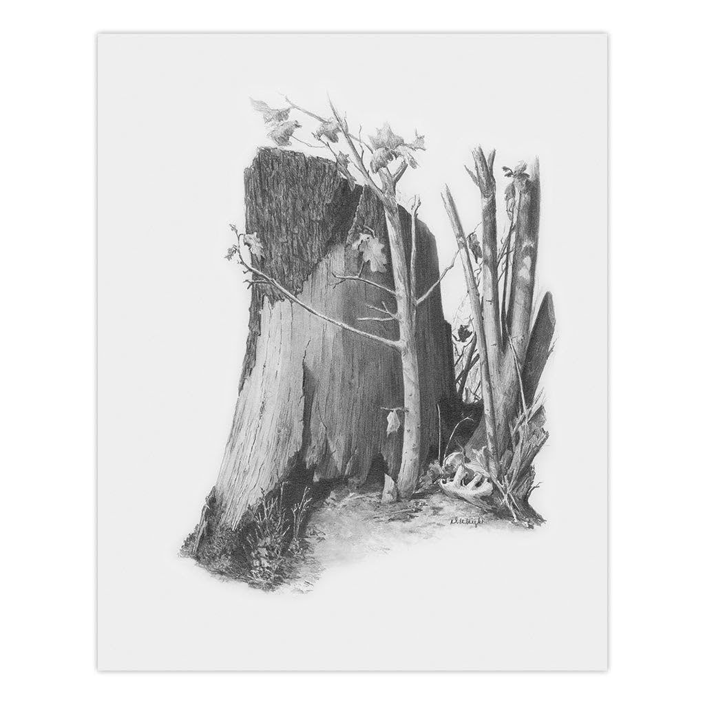 Royal Brush Sketching Made Easy Kit, 9 by 12-Inch, Tree Stump