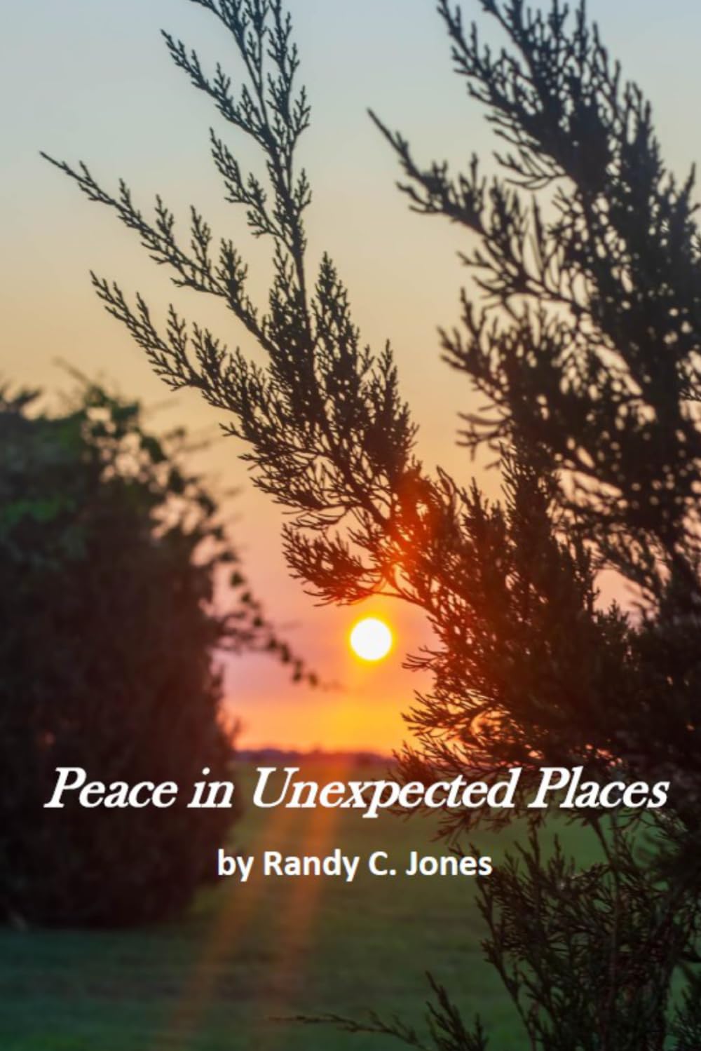 Peace in Unexpected Places