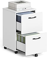 VASAGLE 2-Drawer Rolling File Cabinet, Printer Stand for A4/Letter Size, Home Office Storage, Snow White, 15.7x16.5x27.6in UOFC040W46