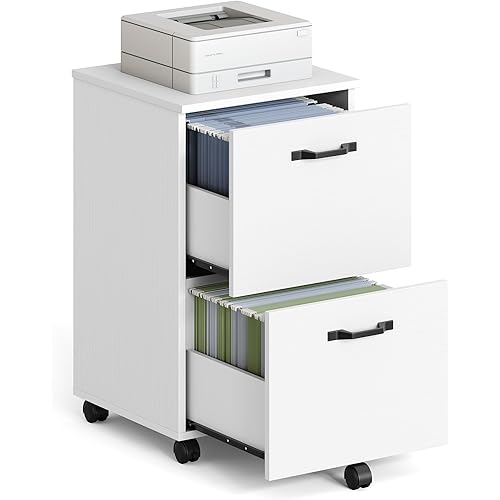VASAGLE 2-Drawer File Cabinet, Small Rolling Filing Cabinet for Home Office, Printer Stand, for A4, Letter-Size Documents, 15.7 x 16.5 x 27.6 Inches, Snow White UOFC040W46