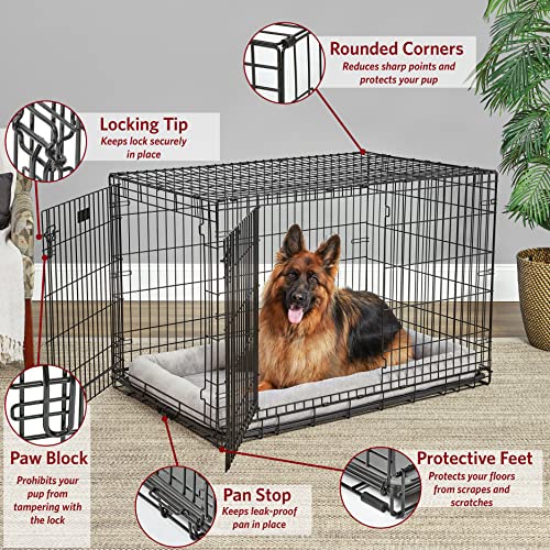 image for MidWest Homes for Pets XL Dog Crate | MidWest Life Stages Double Door 