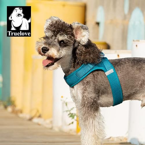 Winhyepet Truelove Step-In Dog Harness Soft Mesh Reflective Breathable Dog Harness, Easy Walk Harness With Safety Buckle For Extra Small And Small Dogs, Vest Harness Tlh3013(Blue, S) #TOP3