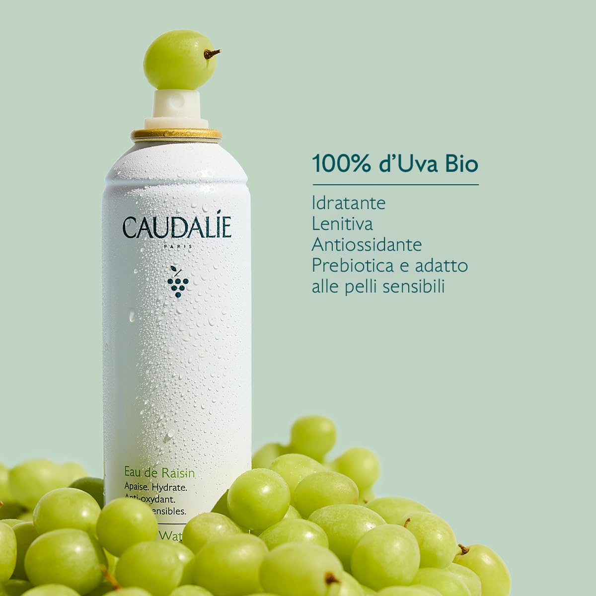 Caudalie Acqua d'Uva – Bruma Lenitiva e Idratante, 100% Uva Bio, Prebiotica e Antiossidante, Pelli Sensibili, Testata Dermatologicamente, Vegano, 300 mL