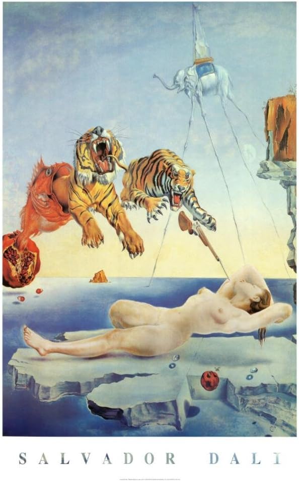 Salvador Dali Dream Caused by The Flight of a Bee a Second Before Awakening Art Print Poster - 24x36 Poster Print, 24x36