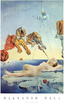 Salvador Dali Dream Caused by The Flight of a Bee a Second Before Awakening Art Print Poster - 24x36 Poster Print, 24x36