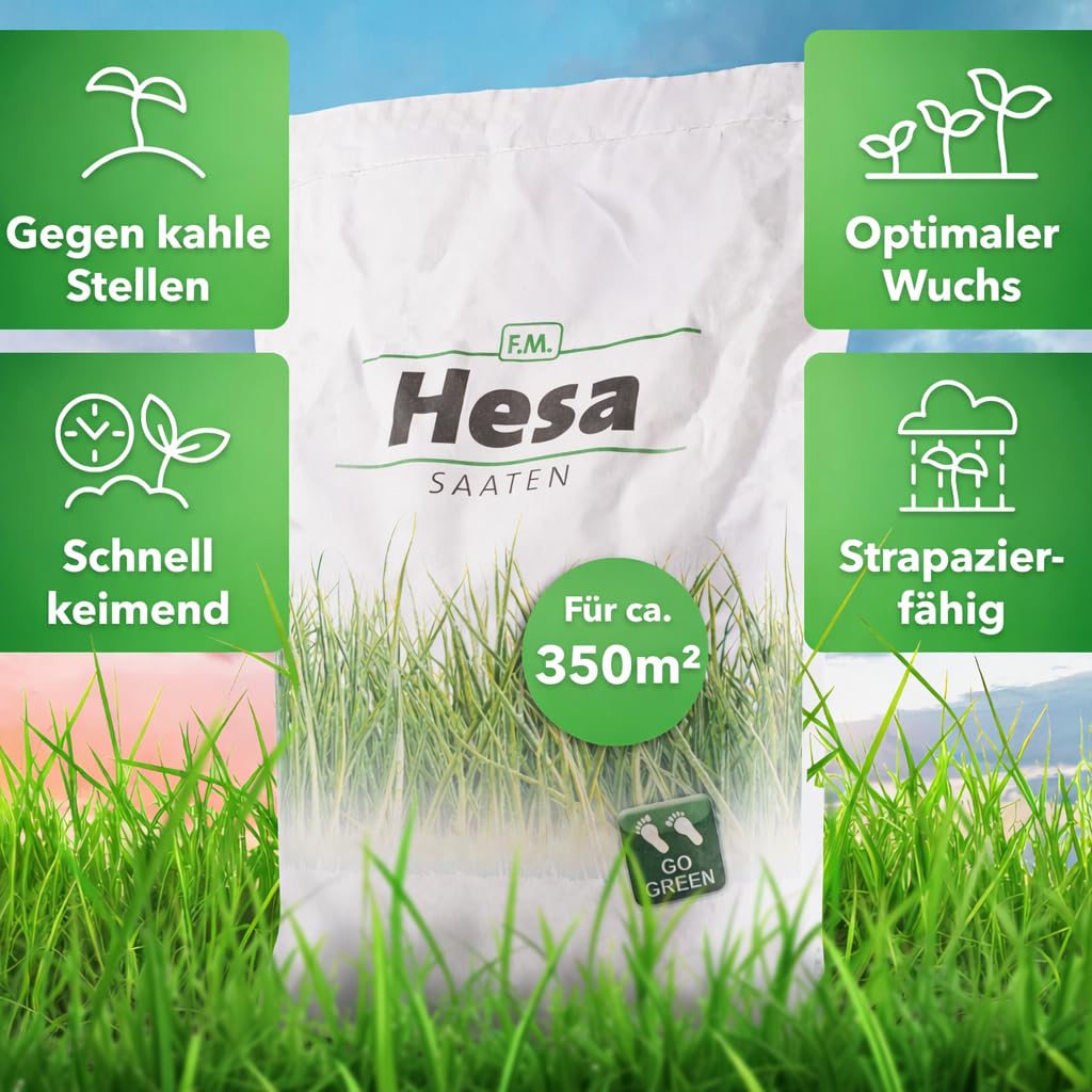 Hesa RSM 3.2 - Semences de gazon à germination rapide de qualité professionnelle - 10 kg pour 350 m²