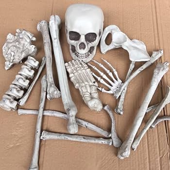 Amazon.co.jp: 電光ホーム 骸骨 28個セット スカル ドクロ