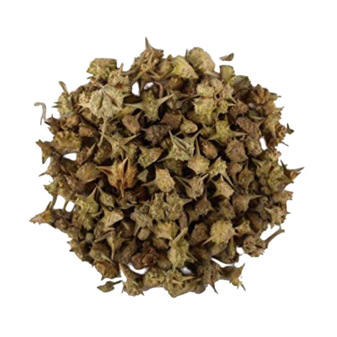 TRH Gokhru Bada - Pedalium Murex - Large Caltrops - Gokhroo Bada - Land Caltrops - Gokharu - Gorkhu - Gokshura (400 gm)