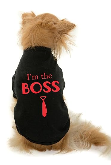 The Tee Shop Pet Clothing Collection Cool Funny Quote Printed The Boss on Pet Dog Cat Comfortable T-Shirt (S, Black)