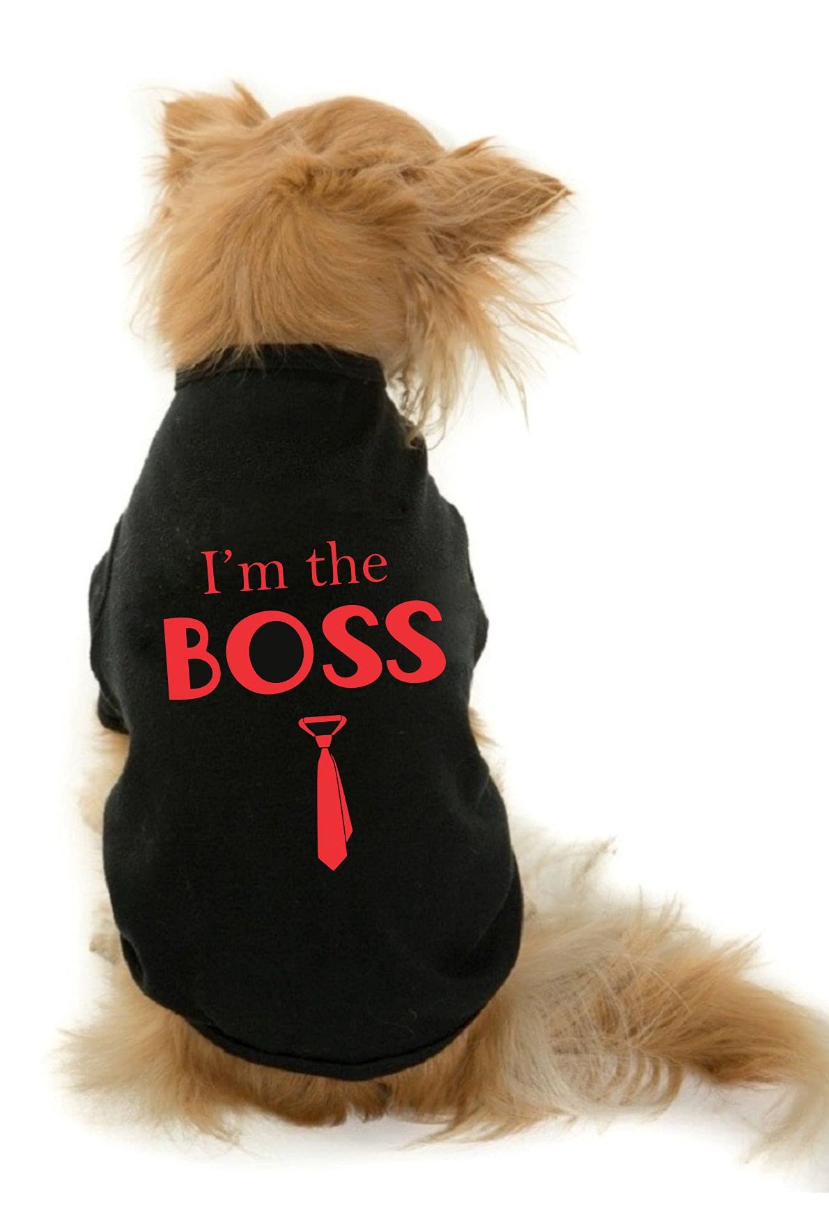 The Tee Shop Pet Clothing Collection Cool Funny Quote Printed The Boss on Pet Dog Cat Comfortable T-Shirt (L, White) (B097C3PVF6) Amazon Price History, Amazon Price Tracker
