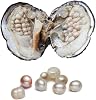 Oyster with Pearl Inside, Freshwater Cultured Oval Pearl Beads 5-7mm about 18pcs Pearls Gifts