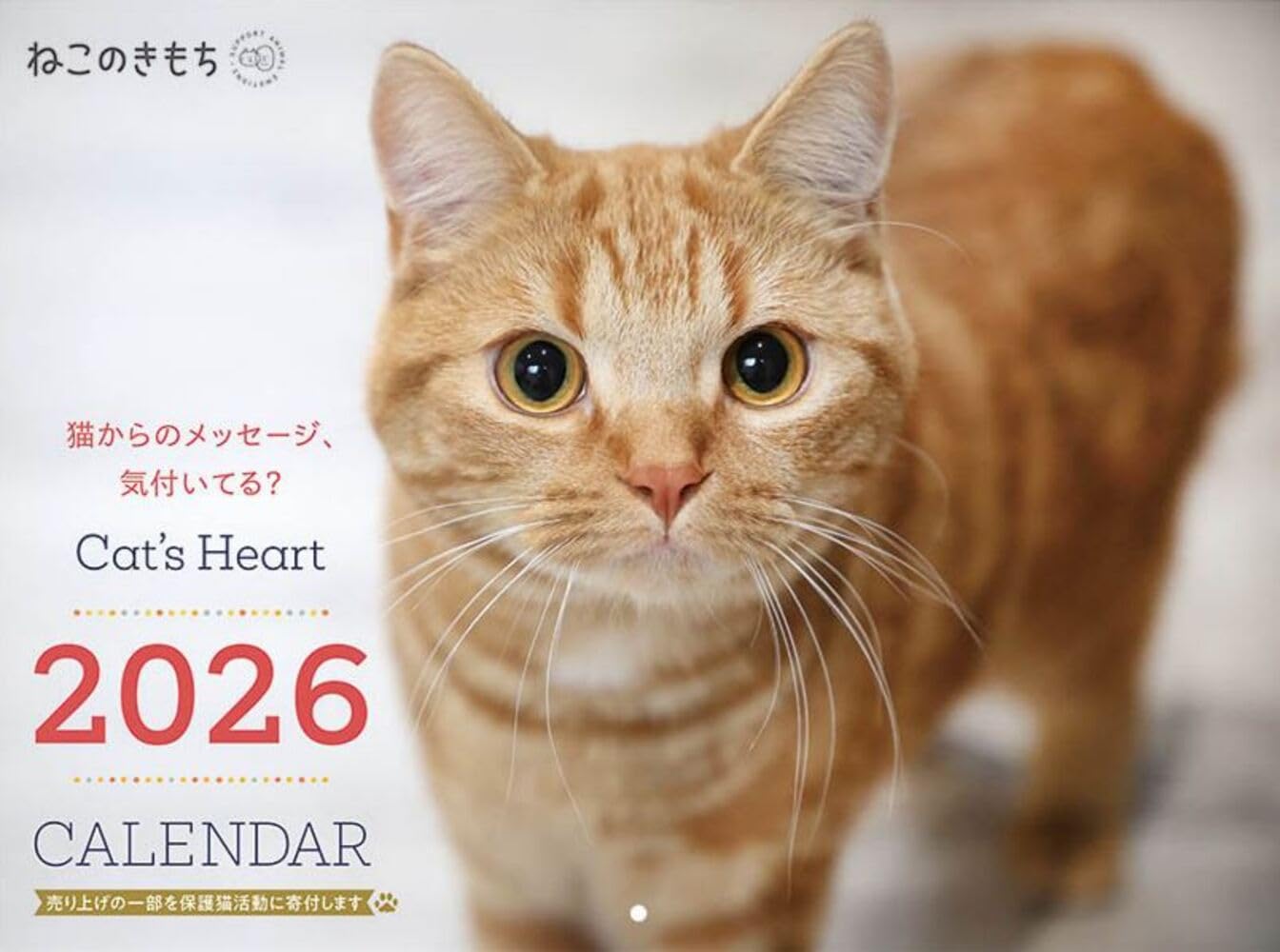 ねこのきもち大判カレンダー2026 | ねこのきもち特別編集 |本