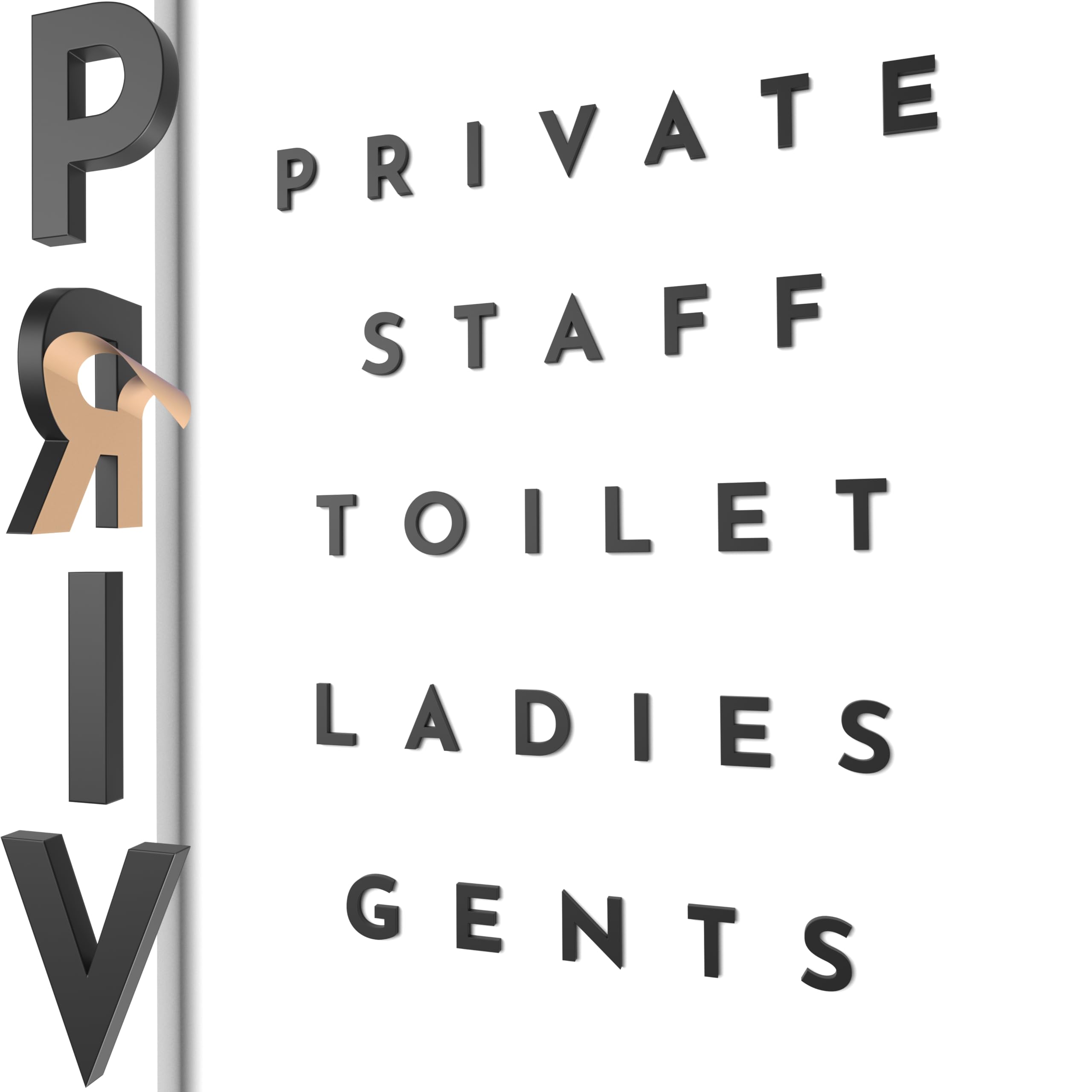Scritte Adesive in Rilievo Private, Staff, Toilet, Gents, Ladies, per Porte e Muri, Segnaletica Decorativa per Interni Vintage (Nero, Inglese)