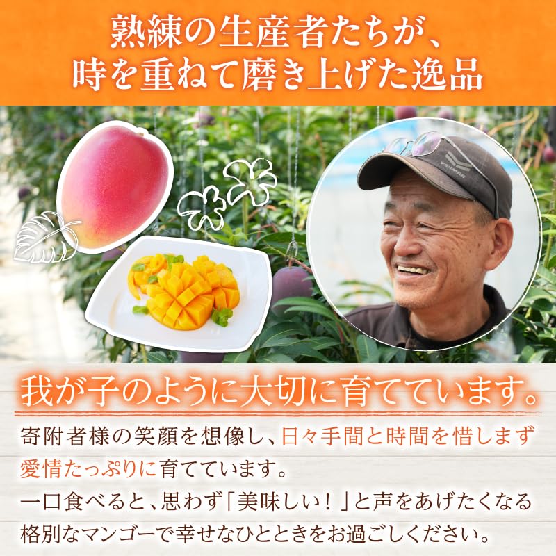 宮崎マンゴー２玉700g プラスほりたてお芋1kgプレゼント２セット Amazon.co.jp: 宮崎県産 完熟マンゴー 2L以上×2玉 : 食品・飲料・お酒