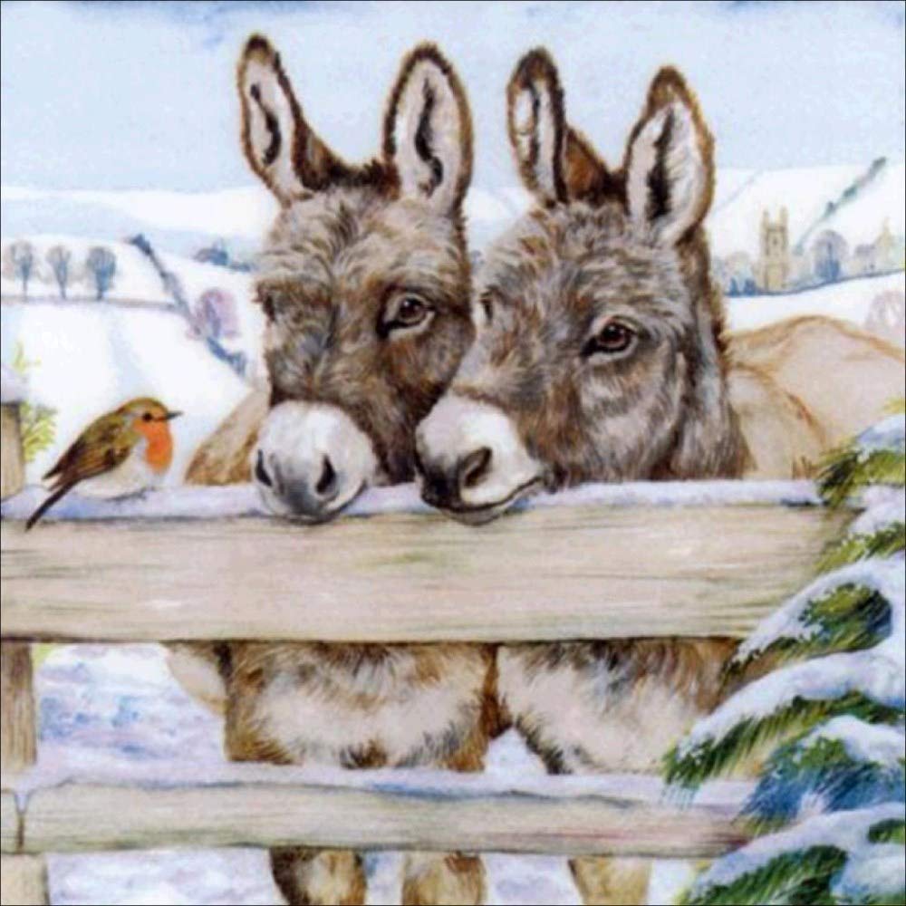 Donkey Animal Diamond Painting Set - PigBoss 5D Full Diamond Embroidery Cross Stitch Diamond Dots Kits Home Decor Art Gift (11.8 x 11.8 inches)