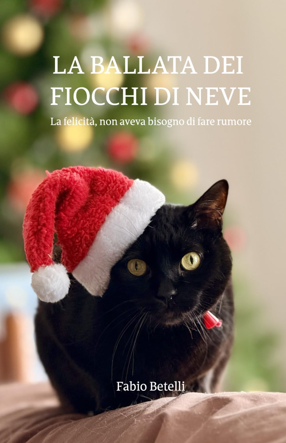LA BALLATA DEI FIOCCHI DI NEVE