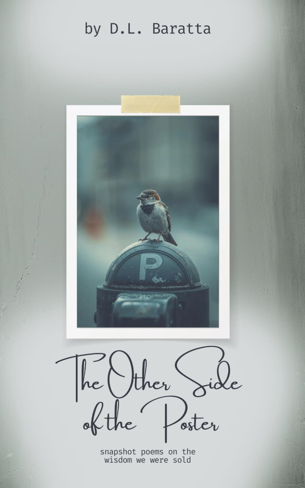 The Other Side of the Poster: Snapshot Poems on the Wisdom We Were Sold