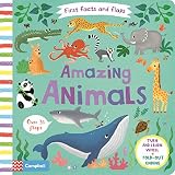 amazing animals  Amazing Animals (First Facts and Flaps, Band 1)