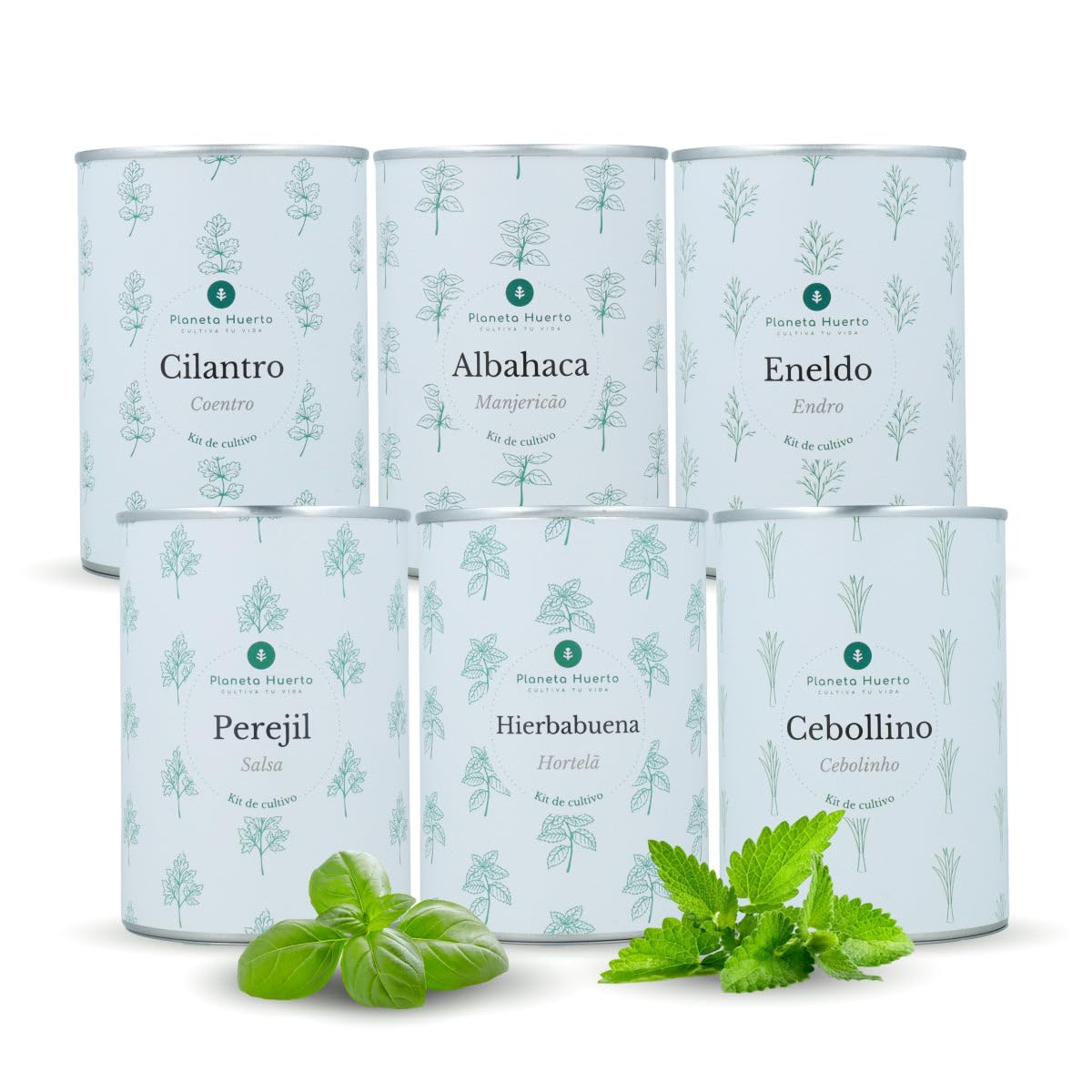 PLANETA HUERTO | Pack Cofre Kits de Cultivo Aromáticas Planeta Huerto – Set Completo para Cultivar Hierbas Frescas en Casa