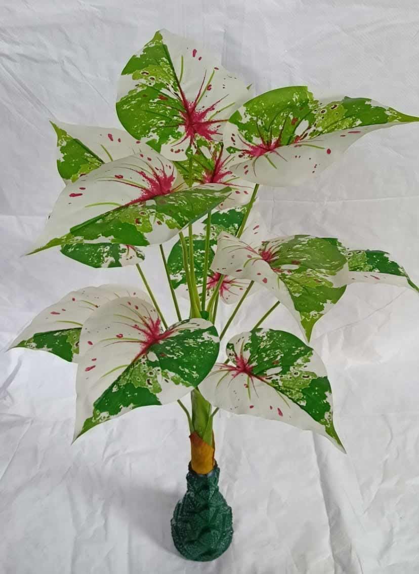 HYPERBOLES Artificial Money Plant White Tall Tree | Indoor/Outdoor Plants for Home, Office Decor - 3 Feet