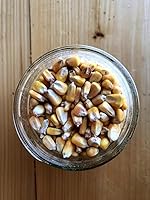 Vista 24 de Ernst Grain & Livestock Maíz entero: alimento perfecto para ciervos, ardillas, pollos, patos, conejos, gansos y más. (46 libras)