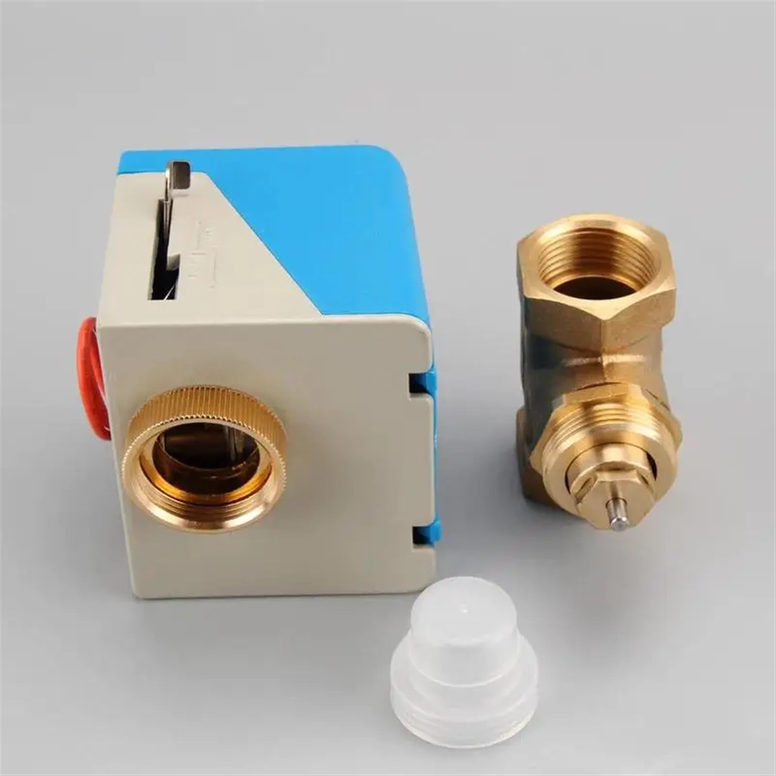 Valvole a globo elettriche motorizzate in ottone da 1/2" 3/4" Valvola di intercettazione a due vie AC220V a 2 fili(220VAC,0.5 Inch)