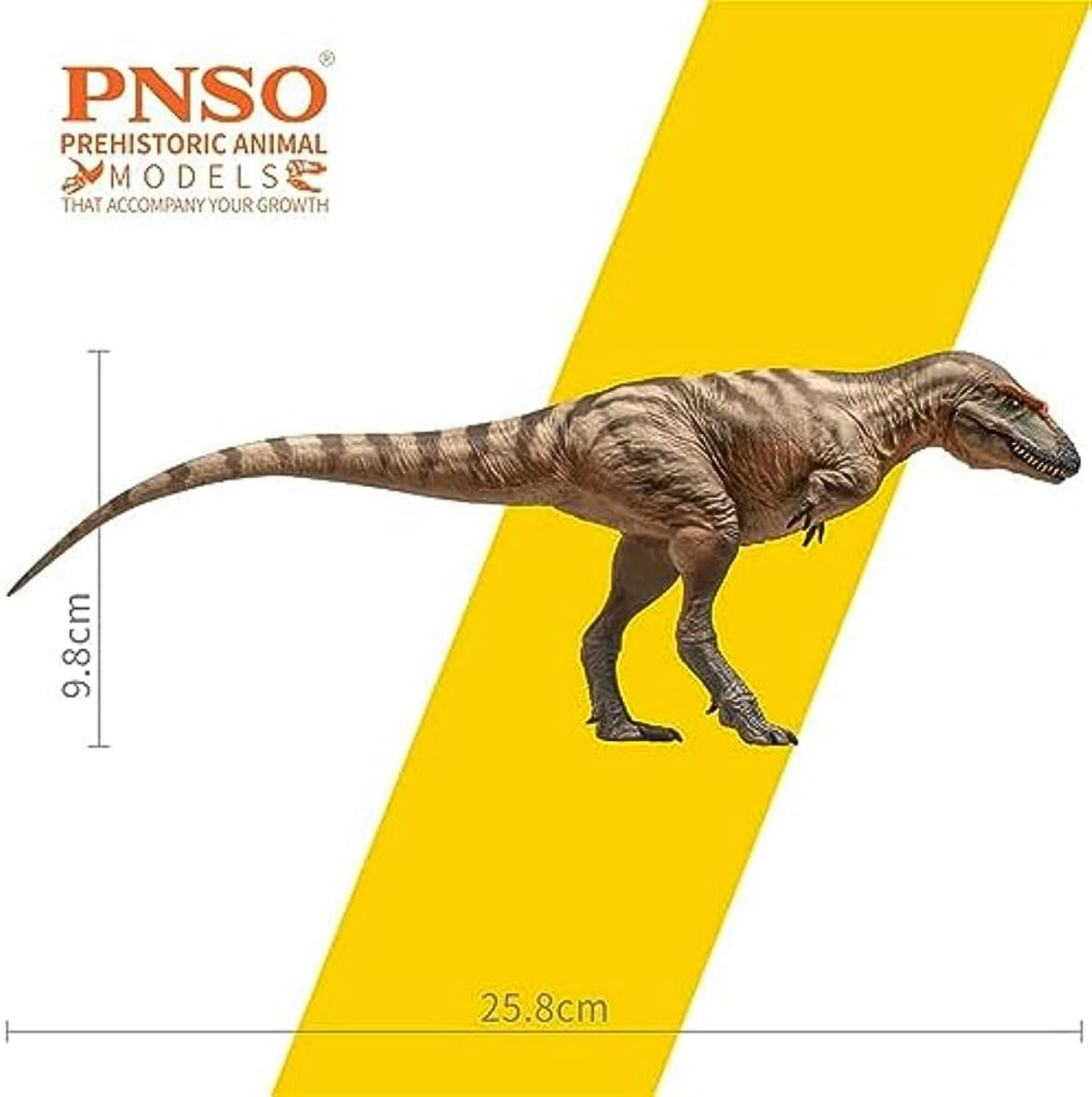 Amazon | PNSO 成長シリーズ 71 ゴルゴサウルス 肉食 恐竜 フィギュア