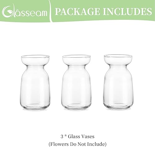 Miniatura 6 de Glasseam Jarrón de vidrio de jacinto para flores jarrón de brote forzador de bulbos, juego de 3 jarrones pequeños transparentes para centros de