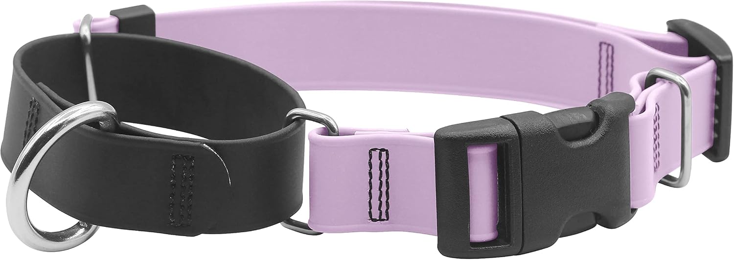 PACKT - Endeavor Waterproof Martingale Collar For Dogs - Waterproof, No Stink, Made in USA | White Lilac - Medium Dog Collar | Lilac…