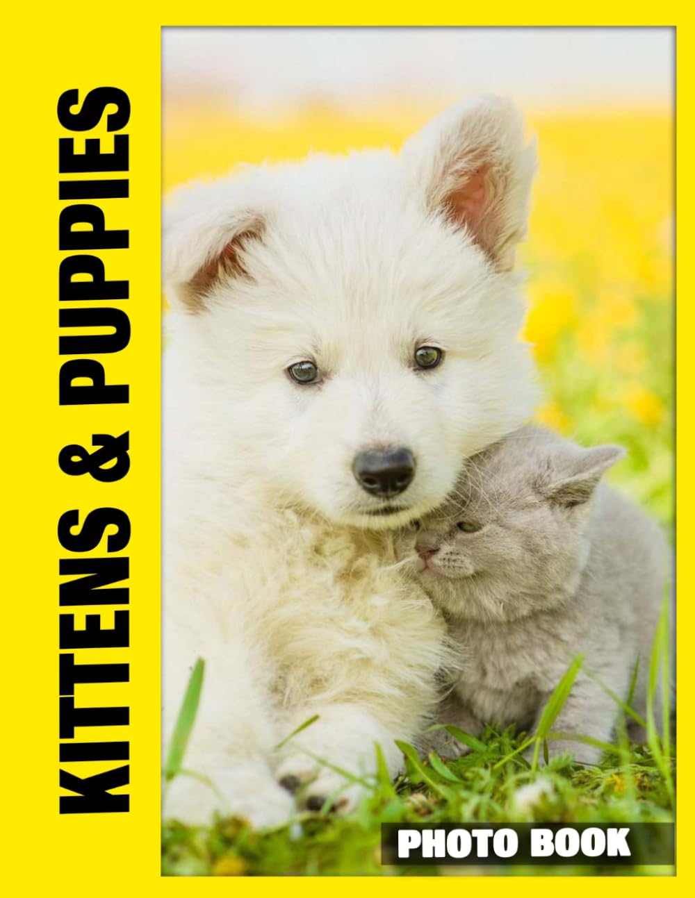 Kittens & Puppies Photo Book: Adorable Baby Animals Captured In Heartwarming Photography With Playful Moments And Cute Expressions In Sweet Puppy And Kitten Adventures