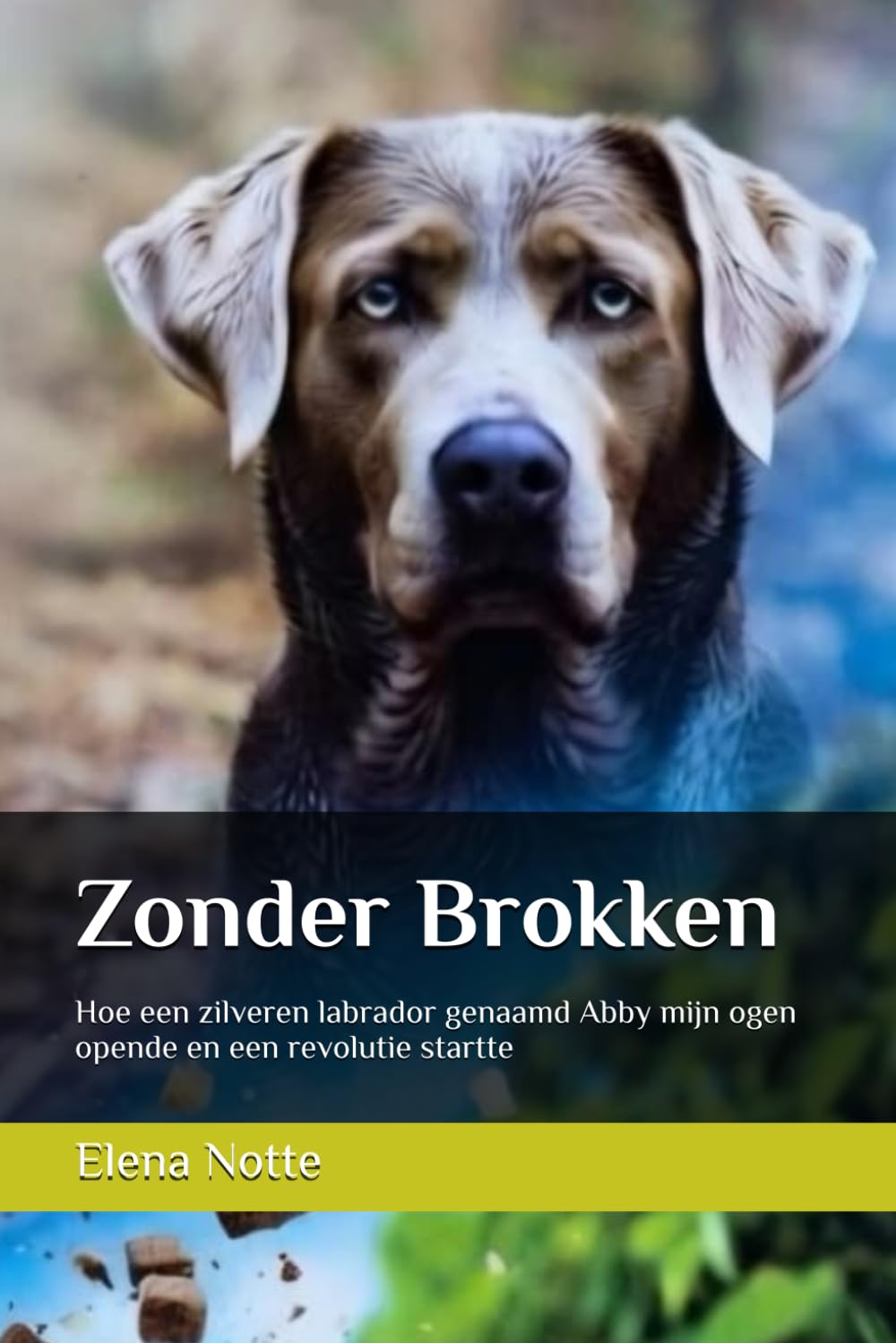 Zonder Brokken: Hoe een zilveren labrador genaamd Abby mijn ogen opende en een revolutie startte