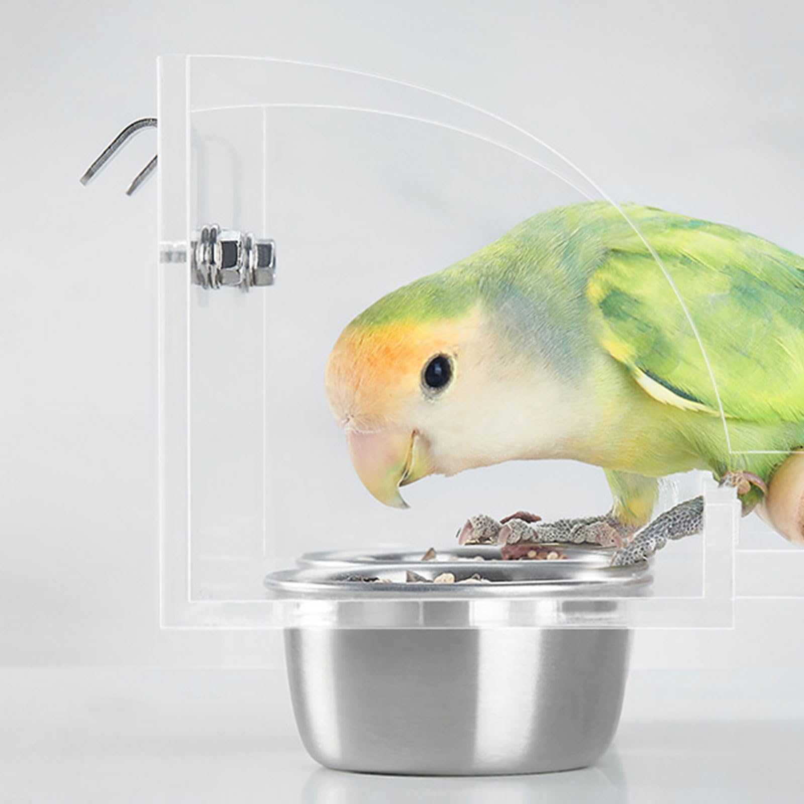 Amazon | 屋内鳥の餌箱耐久性ステンレス鋼インコ食品容器ケージに簡単