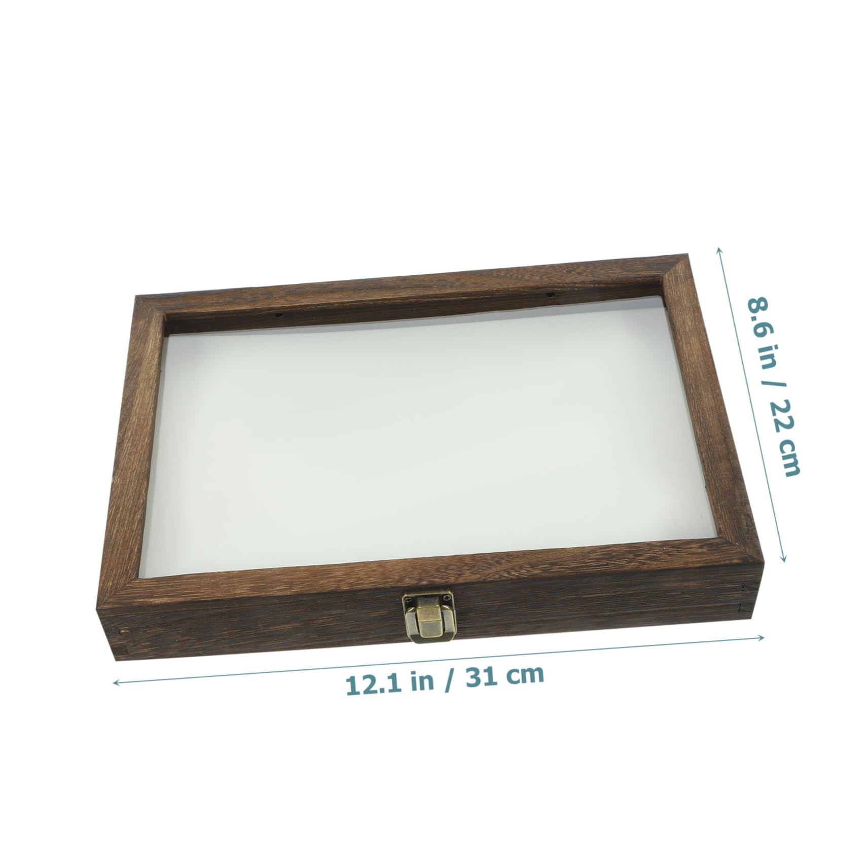 ERINGOGO Boîte De Présentation En Bois Avec Couvercle Transparent 31X8.66X1.85 Pouces Vitrine Pour Cadre De Rangement De Spécimens D'Insectes Et Pour Collection Et Affichage