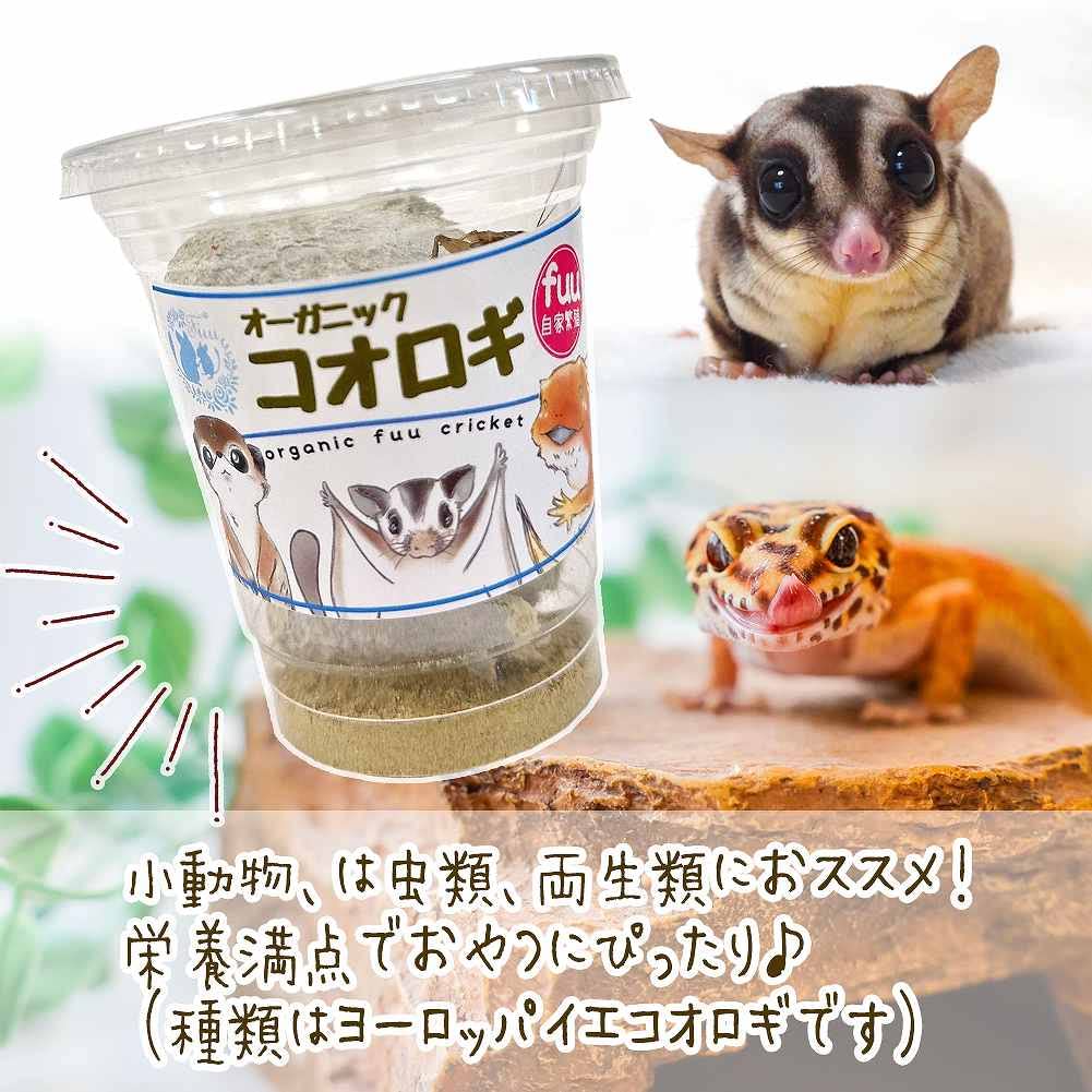 爬虫類・両生類のエサ TOMOO Amazon | [fuu] オーガニックfuuコオロギ 生餌 生き餌 活き餌 活エサ