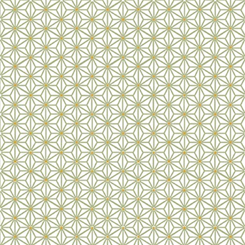 CasaJame Juego de 40 (2 Paquetes de 20 Piezas Cada uno) Servilletas de