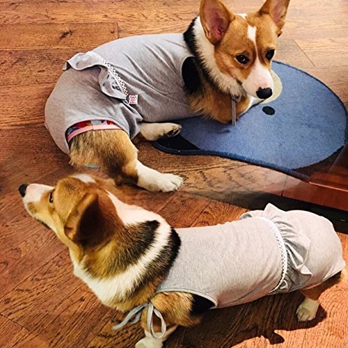 Stock Show Female Dog Diaper Dog Cute Summer Cotton Sanitary Pantie With Suspender Bathing Dress Jumpsuits Suspenders For Girl Dogs Puppy, Grey, S #TOP4