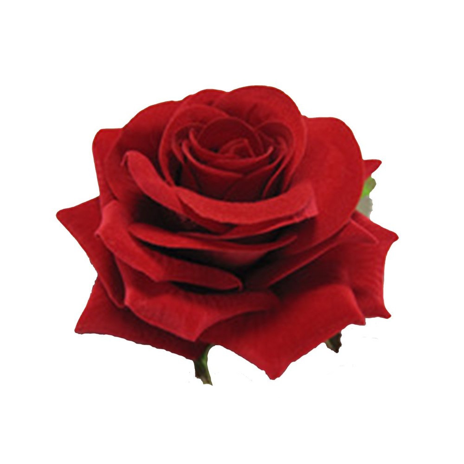 Drishti® Red Velvet Rose Hair Flower Clip and Pin Brooch for Women And Girl (Pack of 2) (B07VGXLGRC) Amazon Price History, Amazon Price Tracker